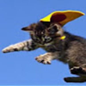 Meet your Posher, Phillip